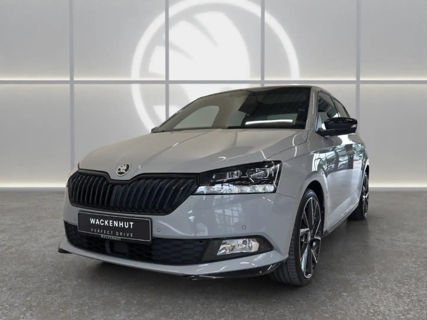 Skoda Fabia MONTE CARLO 1.0l TSI PANO+RFK+AMUNDSEN+LED Grau - 2
