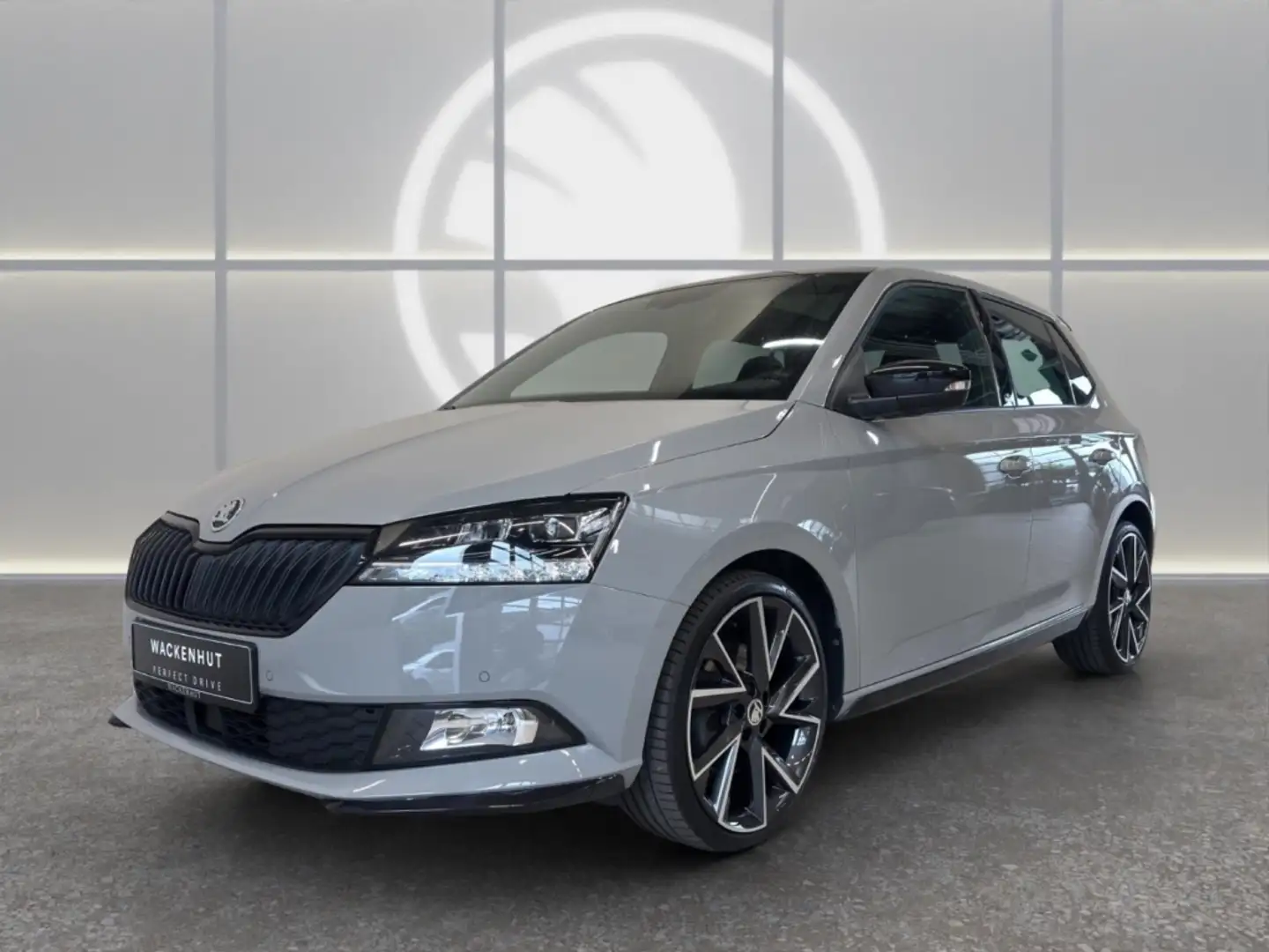Skoda Fabia MONTE CARLO 1.0l TSI PANO+RFK+AMUNDSEN+LED Grau - 1