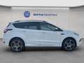 Ford Kuga 1.5 EcoBoost 2x4 ST-Line Blanc - thumbnail 7