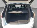 Ford Kuga 1.5 EcoBoost 2x4 ST-Line Weiß - thumbnail 4