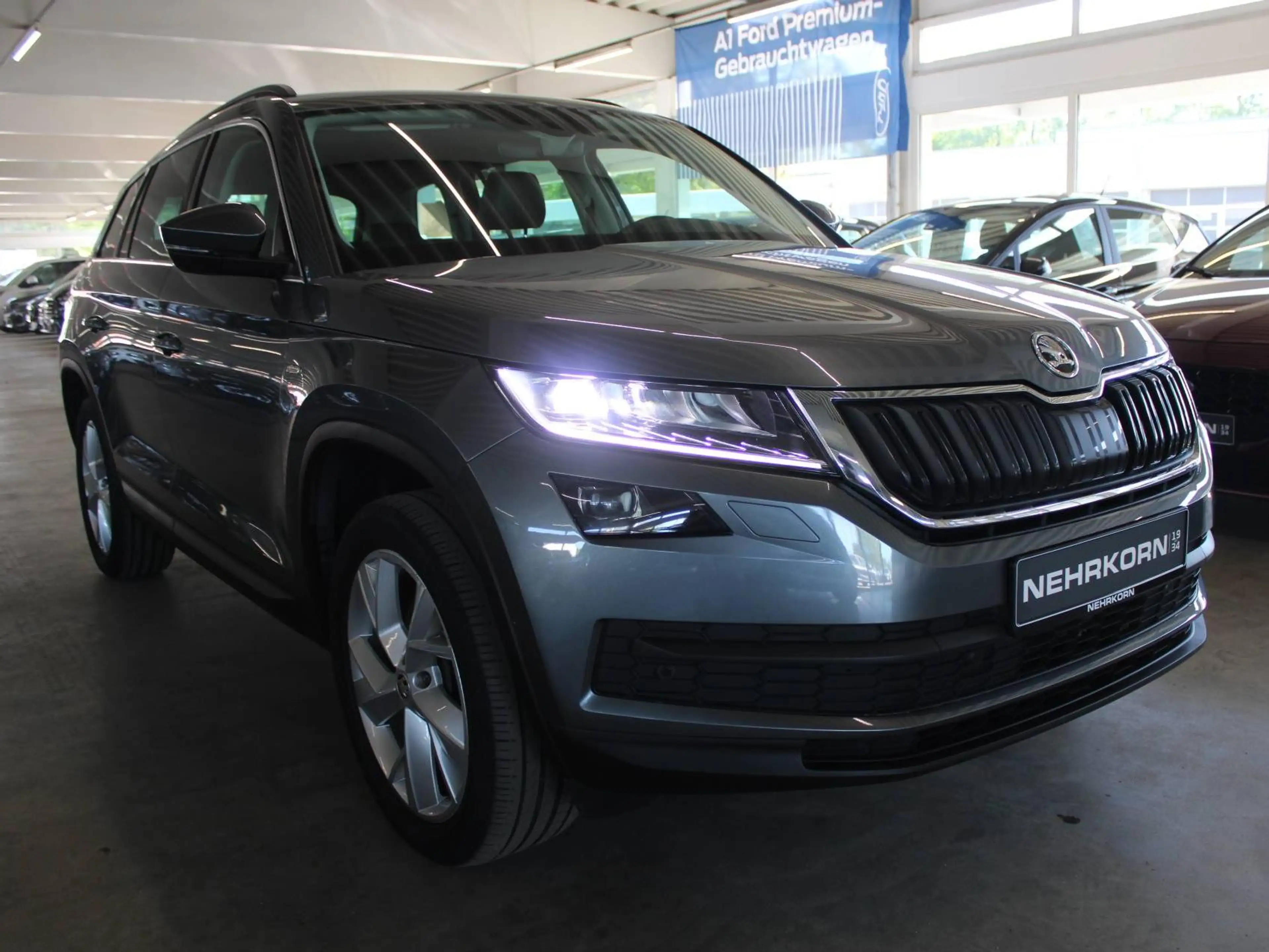 Skoda Kodiaq Kodiaq DSG 4x4 SOLEIL LED AHK LEDER ACC STDHZ — photo 8