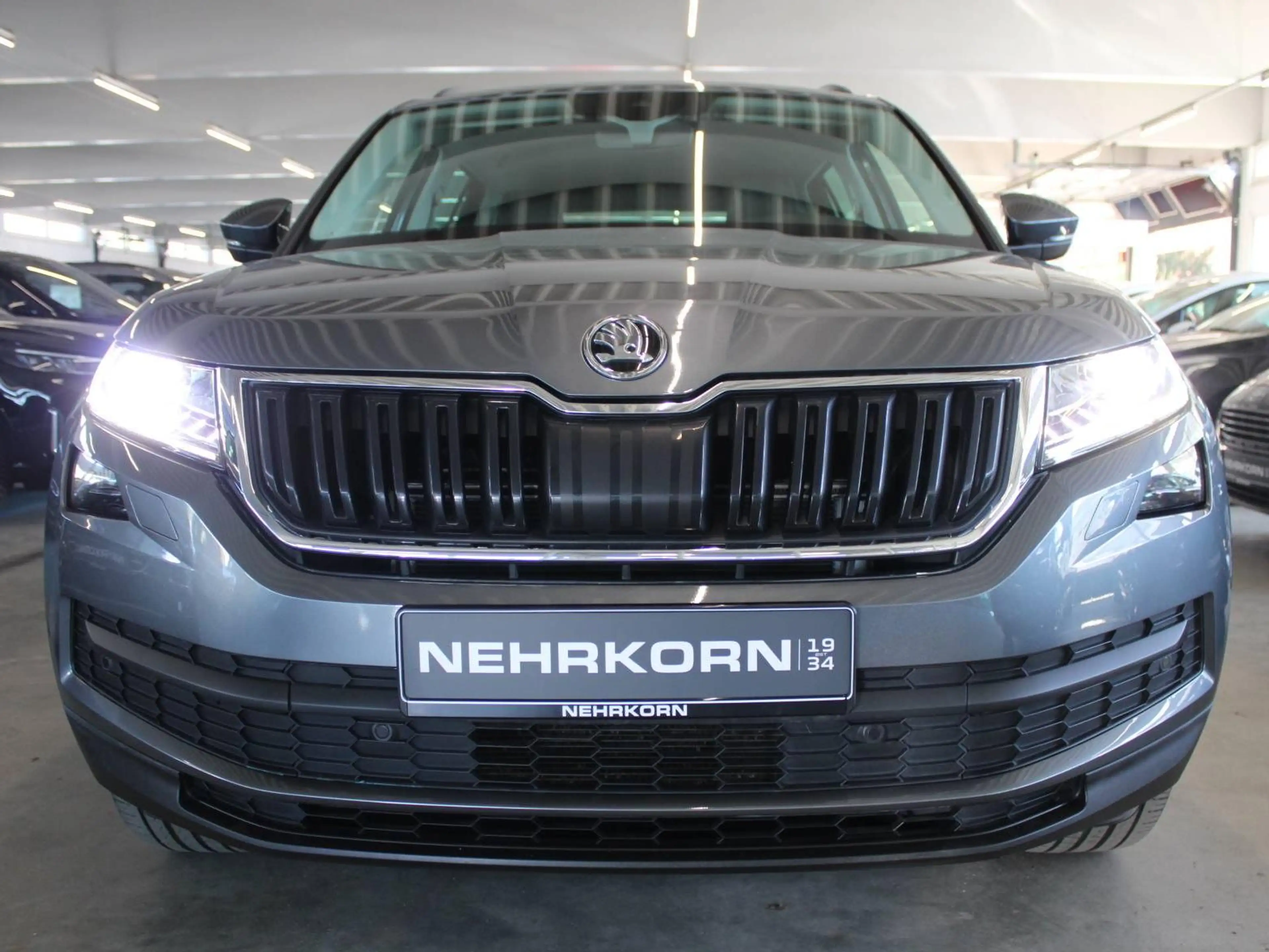 Skoda Kodiaq Kodiaq DSG 4x4 SOLEIL LED AHK LEDER ACC STDHZ — photo 9