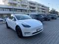 Tesla Model Y Long Range IVA ESPOSTA Dual Motor awd Bianco - thumbnail 4