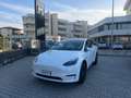 Tesla Model Y Long Range IVA ESPOSTA Dual Motor awd Bianco - thumbnail 3