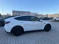 Tesla Model Y Long Range IVA ESPOSTA Dual Motor awd Bianco - thumbnail 2