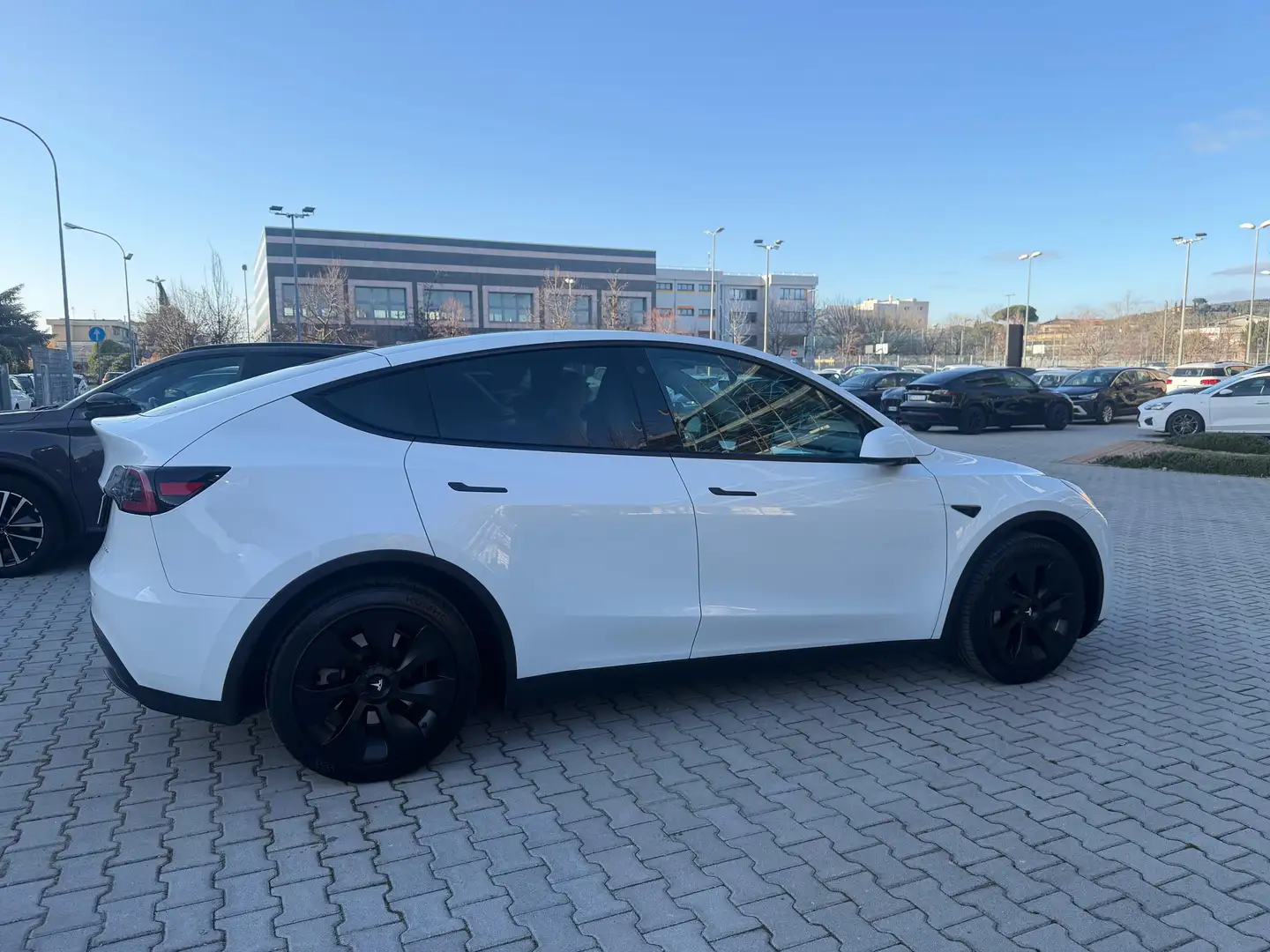 Tesla Model Y Long Range IVA ESPOSTA Dual Motor awd Bianco - 2