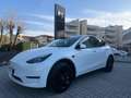 Tesla Model Y Long Range IVA ESPOSTA Dual Motor awd Bianco - thumbnail 1