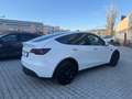 Tesla Model Y Long Range IVA ESPOSTA Dual Motor awd Bianco - thumbnail 5