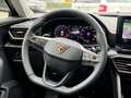 CUPRA Formentor 2.0 TSI 4Drive DSG, NAVI, SHZ Gris - thumbnail 14