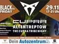 CUPRA Formentor 2.0 TSI 4Drive DSG, NAVI, SHZ Gris - thumbnail 19