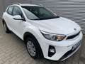Kia Stonic 1.4 Automatik Klimaanlage Apple/Android Blanc - thumbnail 1