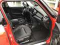 MINI Cooper D 5-trg.~Navi~Pano.~Head Up~LED~PDC~SHZ Rouge - thumbnail 10