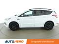 Ford Kuga 1.5 EcoBoost ST-Line *XENON*AHK*PANO*CAM* Weiß - thumbnail 3