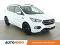Ford Kuga 1.5 EcoBoost ST-Line *XENON*AHK*PANO*CAM* Weiß - thumbnail 8