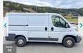 Fiat Ducato L1H1 - thumbnail 3