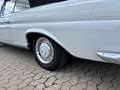 Mercedes-Benz 250 SE / C W111 Cabriolet Hochkühler Wit - thumbnail 37