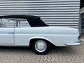 Mercedes-Benz 250 SE / C W111 Cabriolet Hochkühler Wit - thumbnail 30