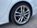 Audi A6 3.0 TDI Quattro S-LINE LED*ACC*BOSE*PANO*HUD! Weiß - thumbnail 24