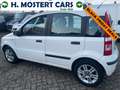 Fiat Panda 1.2 Emotion Electr. Ramen *SPORTVELGEN* *Nieuwe AP Blanc - thumbnail 5