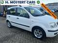 Fiat Panda 1.2 Emotion Electr. Ramen *SPORTVELGEN* *Nieuwe AP Blanc - thumbnail 3