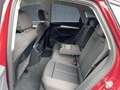 Audi Q5 advanced 40 TDI qu AHK/Matrix/B&O/2 Rot - thumbnail 12