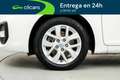 Kia Carens 1.6 GDi Basic 135 Blanco - thumbnail 11
