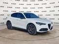 Alfa Romeo Stelvio Stelvio 2.2 Turbodiesel 210 CV AT8 Q4 Veloce Weiß - thumbnail 1