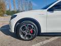 Alfa Romeo Stelvio Stelvio 2.2 Turbodiesel 210 CV AT8 Q4 Veloce Weiß - thumbnail 19