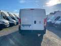 Fiat Ducato 33 MH1 2.2 mjt3 140cv serie 9 +iva Wit - thumbnail 5