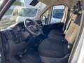 Fiat Ducato 33 MH1 2.2 mjt3 140cv serie 9 +iva Wit - thumbnail 11