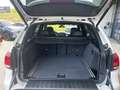 BMW X5 xDrive30d Aut. Weiß - thumbnail 17