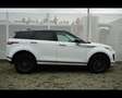 Land Rover Range Rover Evoque 2.0D I4 163 CV Bianco - thumbnail 6