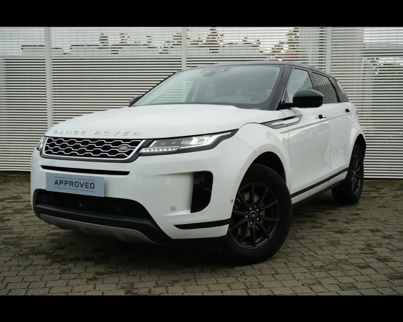Land Rover Range Rover Evoque 2.0D I4 163 CV Bianco - 1