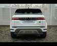 Land Rover Range Rover Evoque 2.0D I4 163 CV Bianco - thumbnail 7