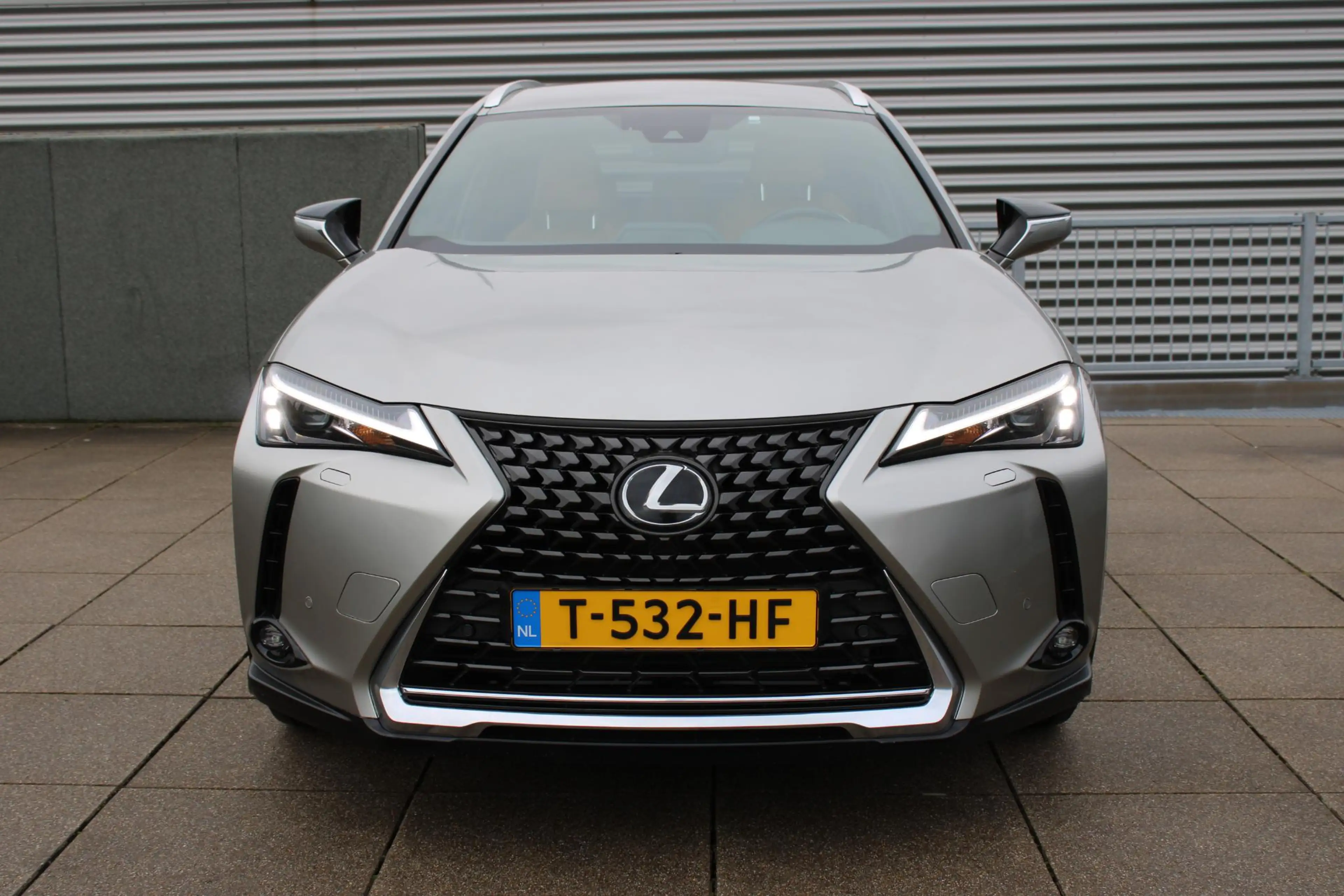 Lexus UX 250h Business Line Trekhaak, Foto's volgen — photo 3