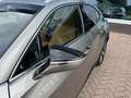 Lexus UX 250h Business Line Trekhaak, Foto's volgen Grijs - thumbnail 10