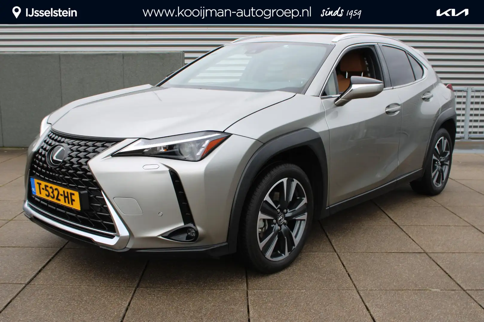 Lexus UX 250h Business Line Hybride 183 pk TREKHAAK / NAVIGATIE Grijs - 1