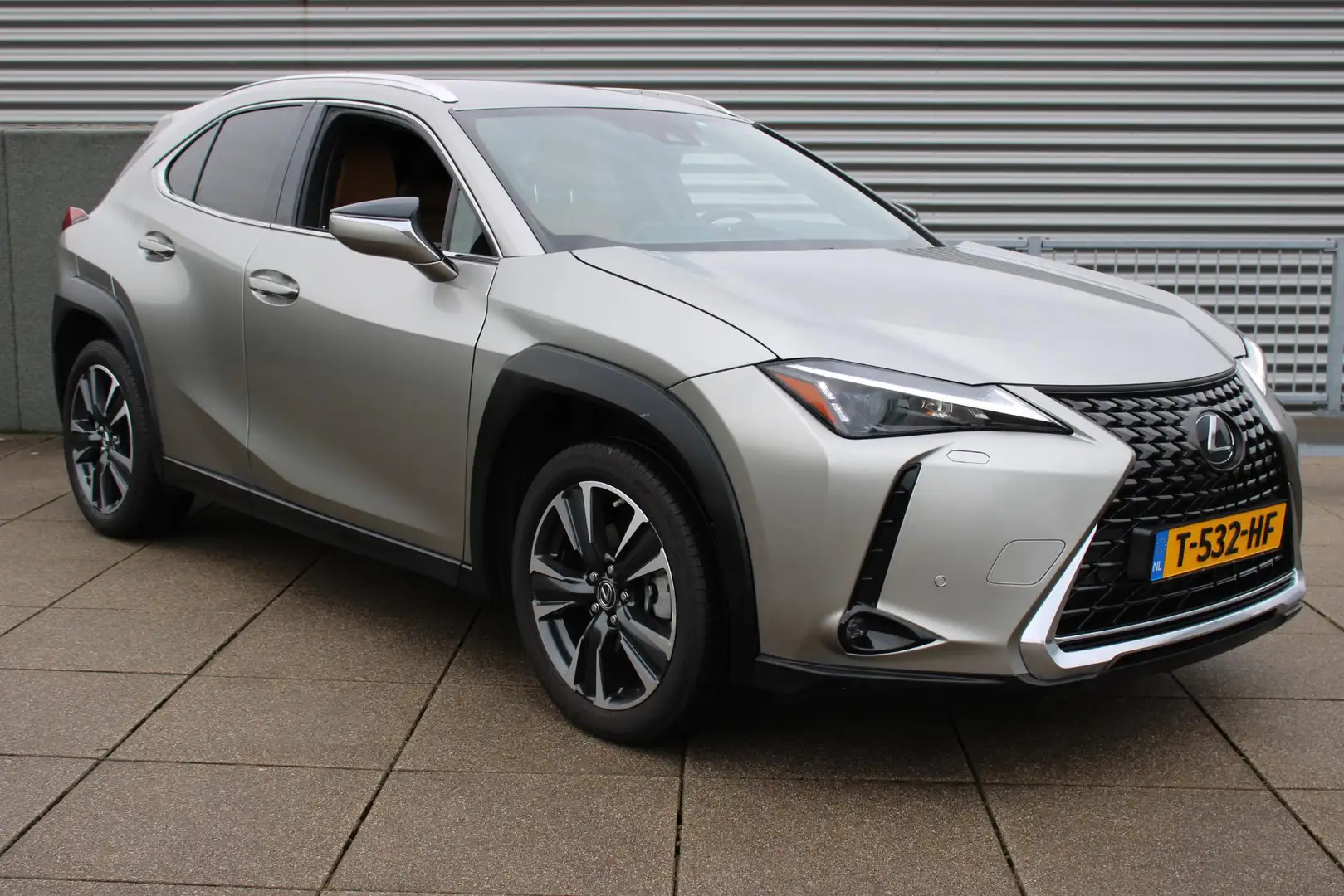 Lexus UX 250h Business Line Hybride 183 pk TREKHAAK / NAVIGATIE Grijs - 2