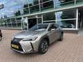 Lexus UX 250h Business Line Trekhaak, Foto's volgen Grijs - thumbnail 2