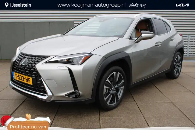 Lexus UX 250h Business Line Hybride 183 pk TREKHAAK / NAVIGATIE