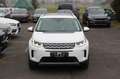 Land Rover Discovery Sport SE AWD*ACC*7SITZE*360*PANO*LEDER Blanc - thumbnail 4