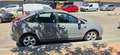 Ford Focus Focus 1.6 Trend Trend Gris - thumbnail 6