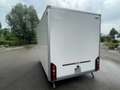 Wörmann Basic L 1540/225 Beige - thumbnail 13