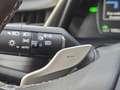 Lexus ES 300 300h Luxury Line Leder/Blind spot monitor Weiß - thumbnail 19