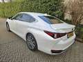 Lexus ES 300 300h Luxury Line Leder/Blind spot monitor Weiß - thumbnail 6