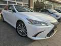 Lexus ES 300 300h Luxury Line Leder/Blind spot monitor Weiß - thumbnail 2