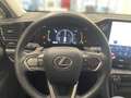 Lexus Luxury Line E-FOUR ACC LEDER R.CAM MATRIX HUD Stan Grau - thumbnail 8