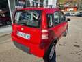 Fiat Panda Panda 1.3 MJT 16V DPF 4x4 Climbing Rosso - thumbnail 7