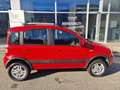 Fiat Panda Panda 1.3 MJT 16V DPF 4x4 Climbing Rosso - thumbnail 8