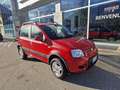 Fiat Panda Panda 1.3 MJT 16V DPF 4x4 Climbing Rosso - thumbnail 1